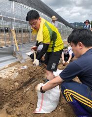 예산지역 피해농가 봉사